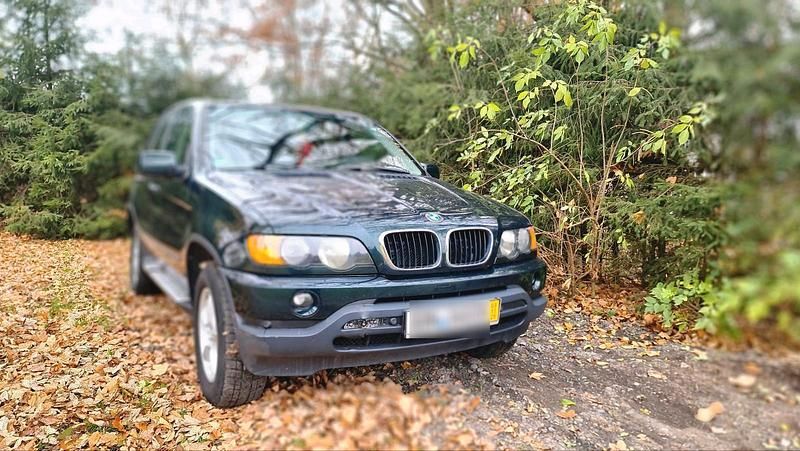 Grün Gebraucht 2002 BMW X5 SUV | 3.599 € (Fairer Preis) - Bild 1/4