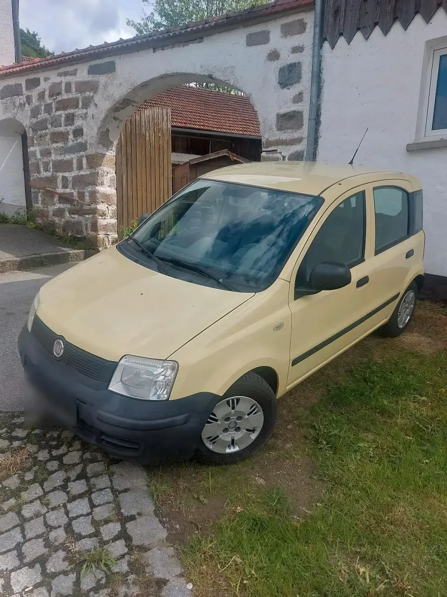 Używany Fiat Panda 60 KM (44 kW) 2009 Żółty Hatchback