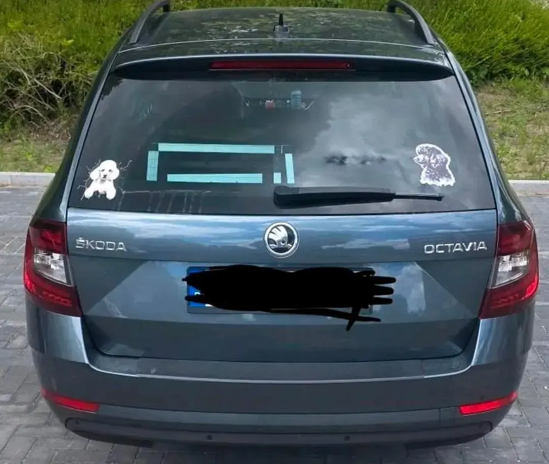 Gebraucht Skoda Octavia 150 PS (110 kW) 2020 Grau Kombi
