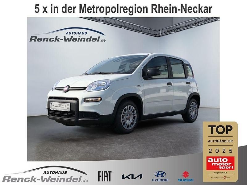 Weiss) (weiss Gebraucht 2024 Fiat Panda Kleinwagen | 14.289 € (Fairer Preis) - Bild 1/4