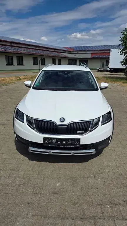Gebraucht Skoda Octavia Scout 4x4 184 PS (135 kW) 2019 Weiß Kombi