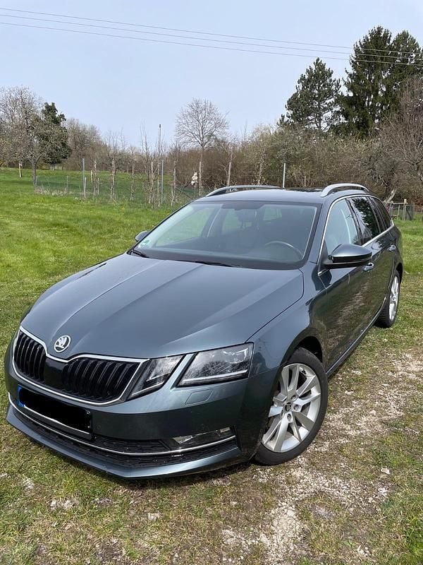 Second-hand Skoda Octavia 116 CP (85 kW) 2019 Gri Break