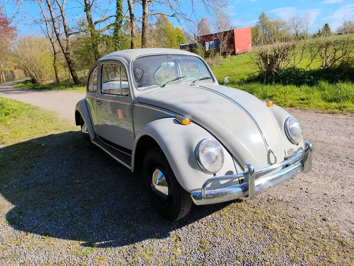 Używany VW Käfer 34 KM (25 kW) 1965 Szary Hatchback
