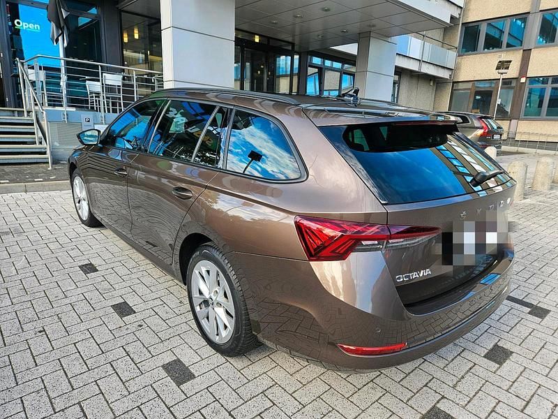 Braun Gebraucht 2020 Skoda Octavia Kombi | 18.500 € (Superpreis) - Bild 1/4