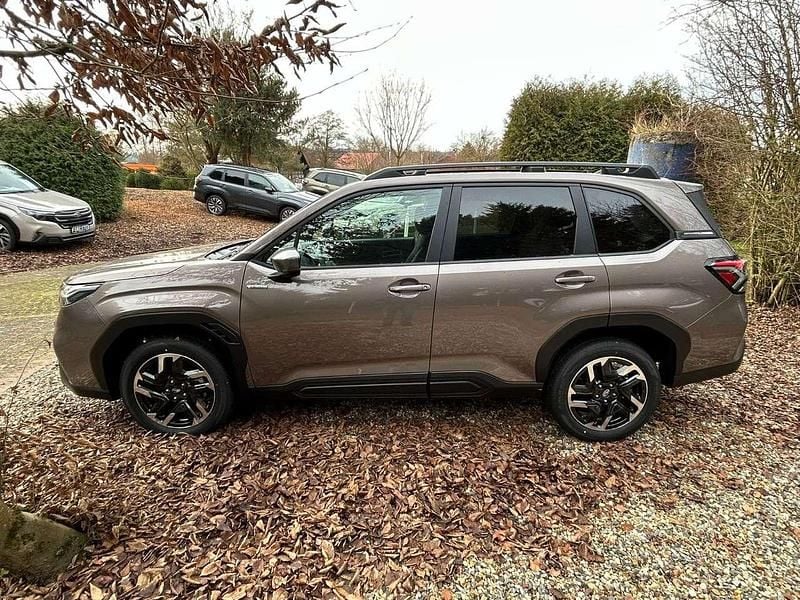 Neu Subaru Forester Active 136 PS (100 kW) 2026 Brilliant bronze SUV