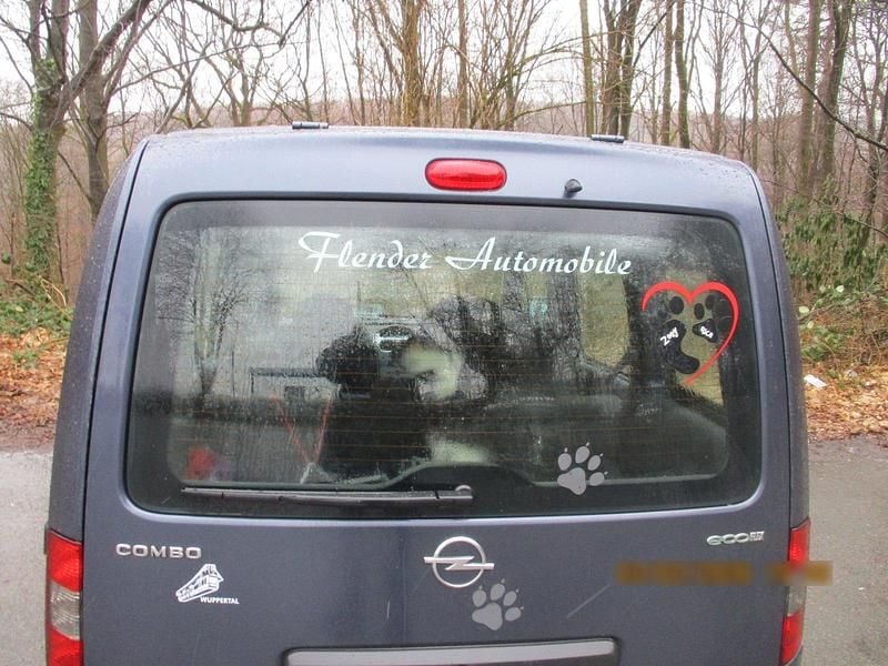 Gebraucht Opel Combo 97 PS (71 kW) 2009 Blau Van / Kleinbus