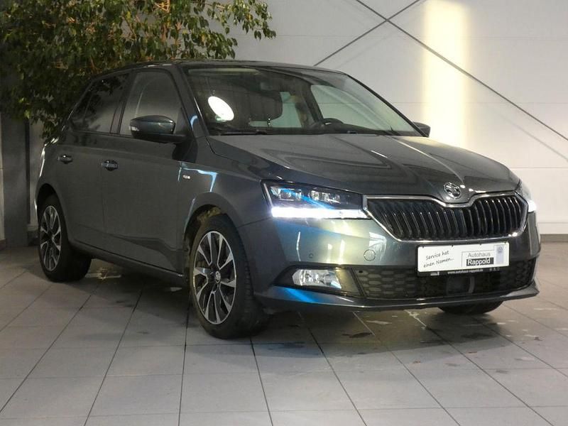Wunderschne Skoda Fabia Grau Ebenbildnull