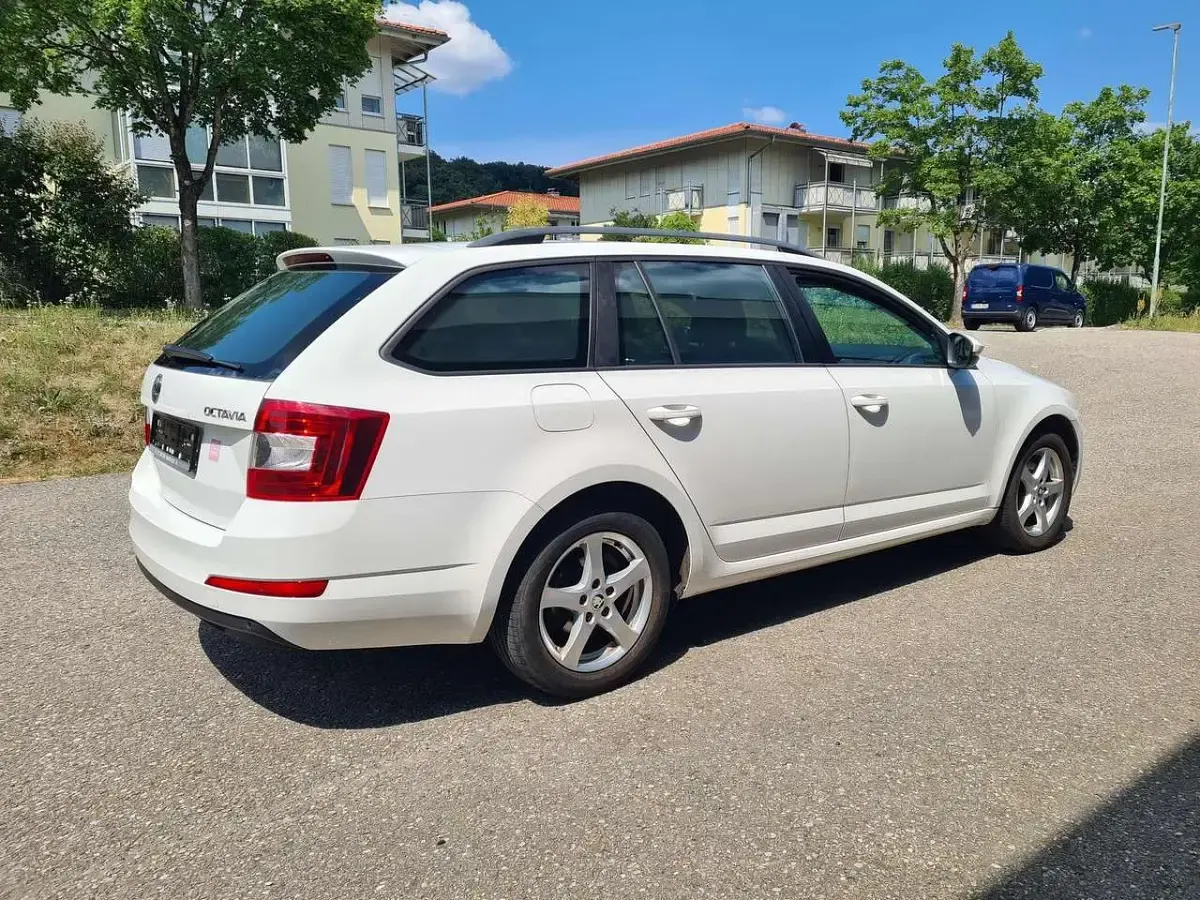 Gebraucht Skoda Octavia Ambition 105 PS (77 kW) 2013 Candyweiss Kombi