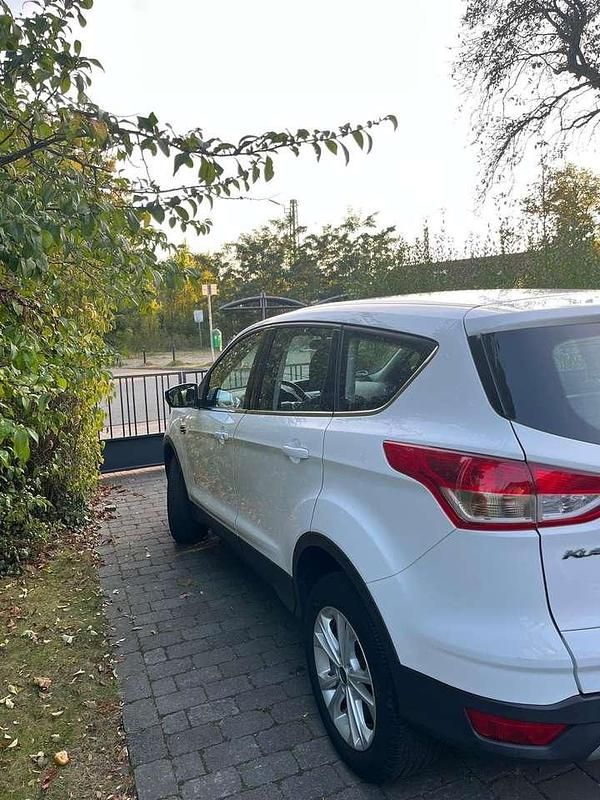 Gebraucht Ford Kuga Individual 150 PS (110 kW) 2015 Weiß SUV