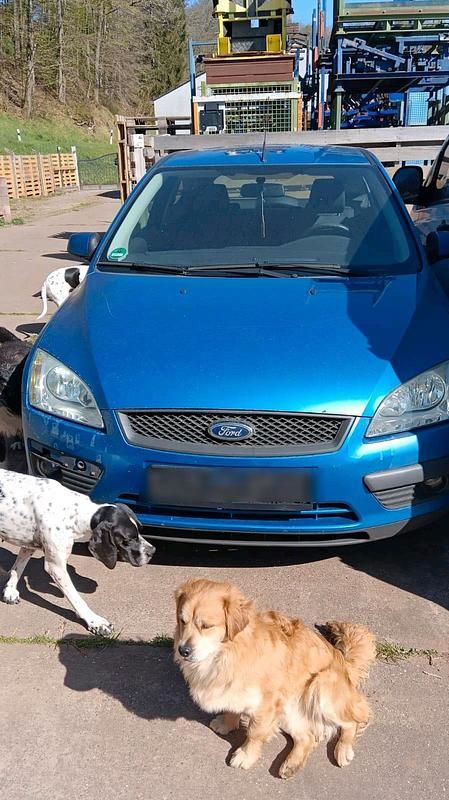 Gebraucht Ford Focus 125 PS (91 kW) 2007 Blau Limousine