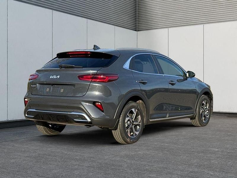 Neu Kia XCeed Exclusive 116 PS (85 kW) 2026 Pentametal metallic SUV