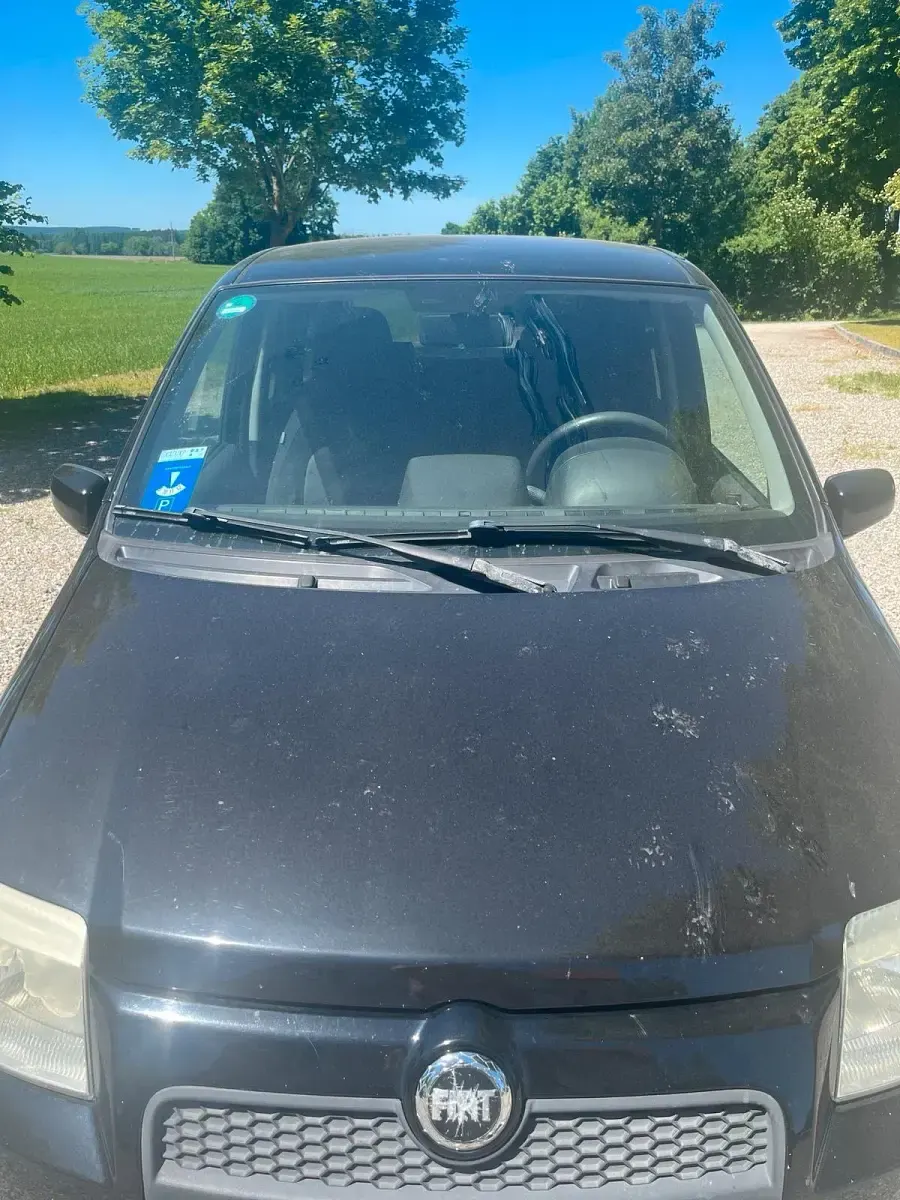 Gebraucht Fiat Panda 101 PS (74 kW) 2007 Schwarz Kleinwagen