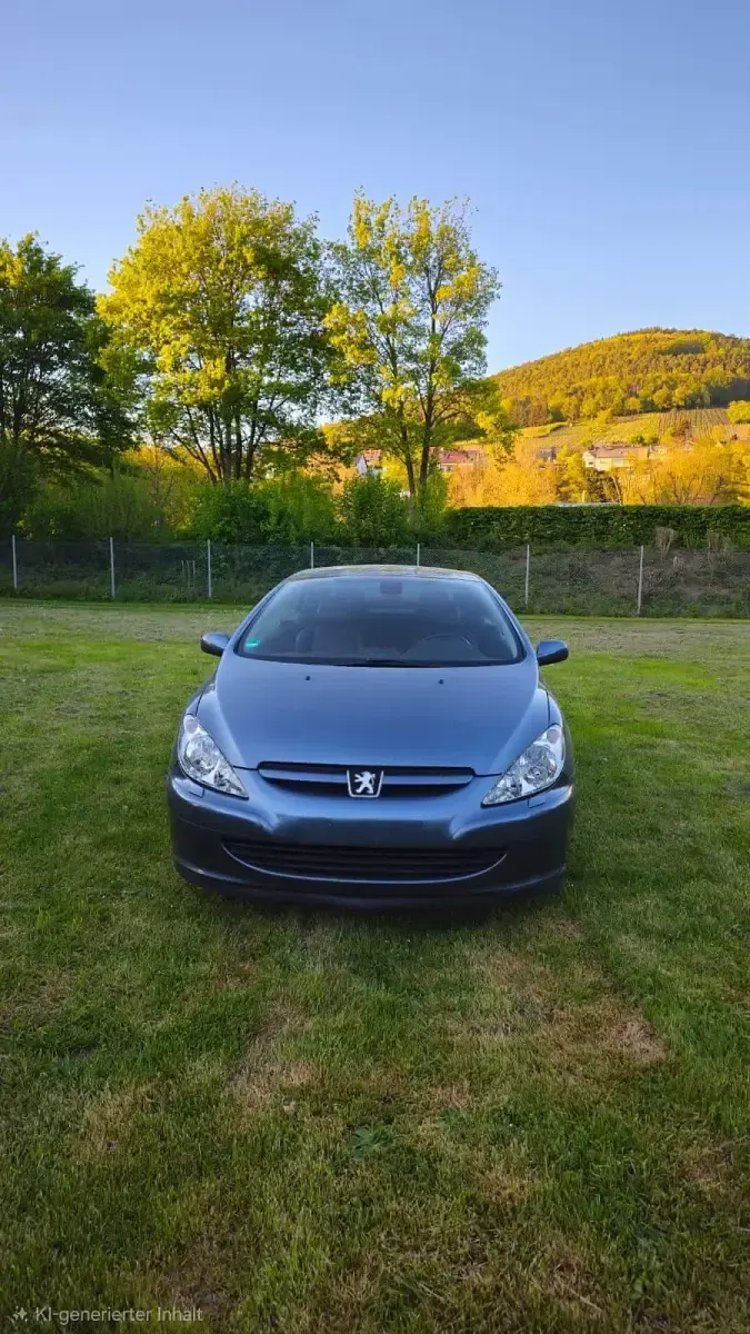 Gebraucht Peugeot 307 CC 140 PS (102 kW) 2005 Grau Cabrio