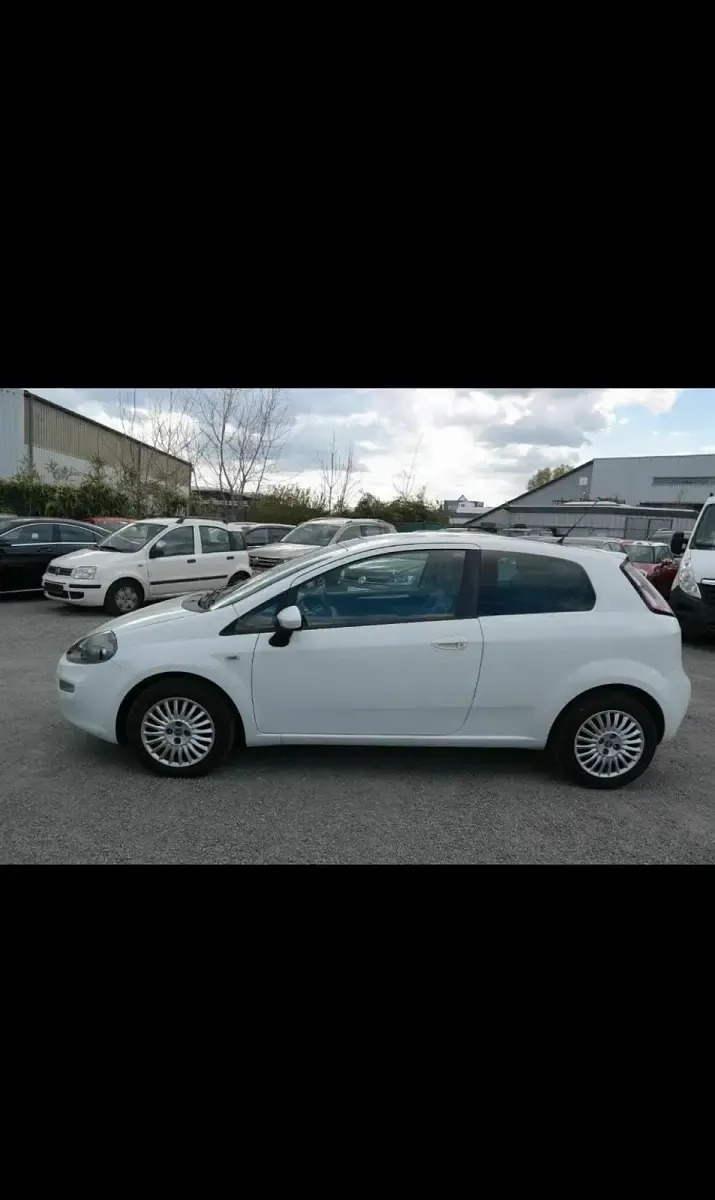 Gebraucht Fiat Punto Evo 69 PS (50 kW) 2012 Weiß Kleinwagen