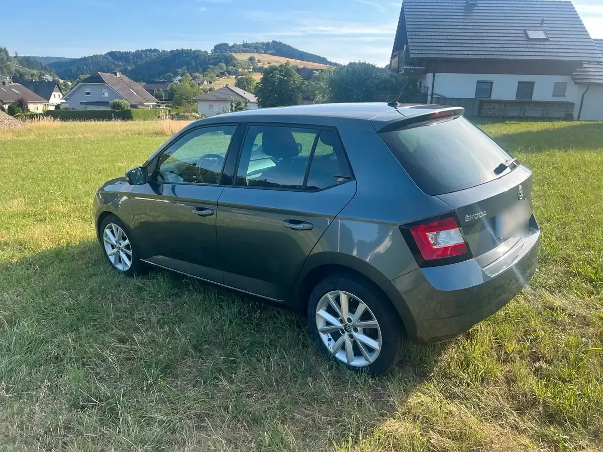 Gebraucht Skoda Fabia Joy 75 PS (55 kW) 2016 Grau Kleinwagen