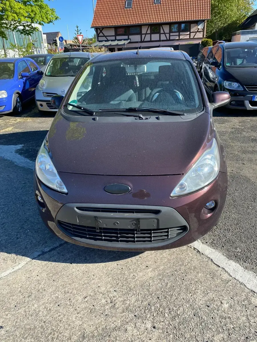 Usata Ford Ka 70 CV (51 kW) 2009 Marrone Utilitaria
