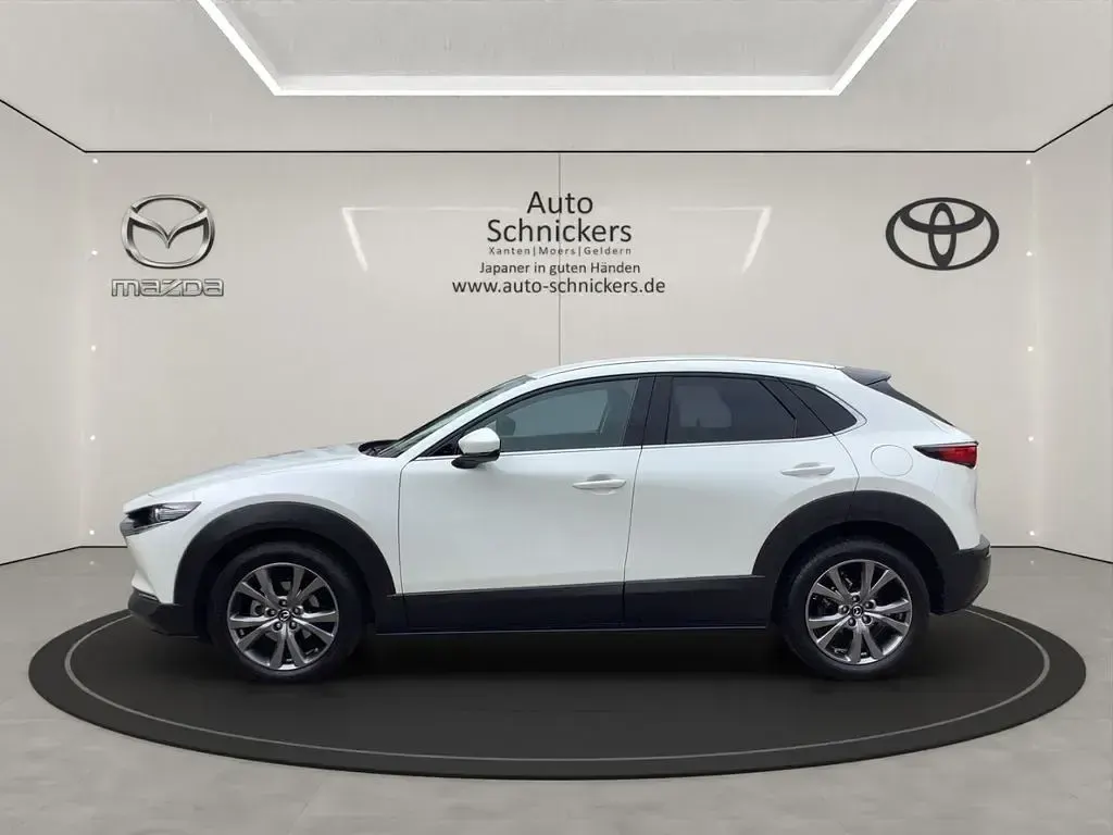 Occasion Mazda CX-30 Selection 186 ch (136 kW) 2023 Blanc SUV