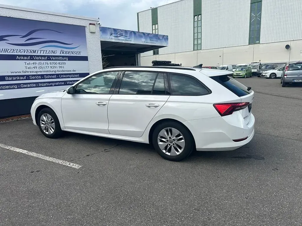 Gebraucht Skoda Octavia Ambition 150 PS (110 kW) 2023 Weiß Kombi
