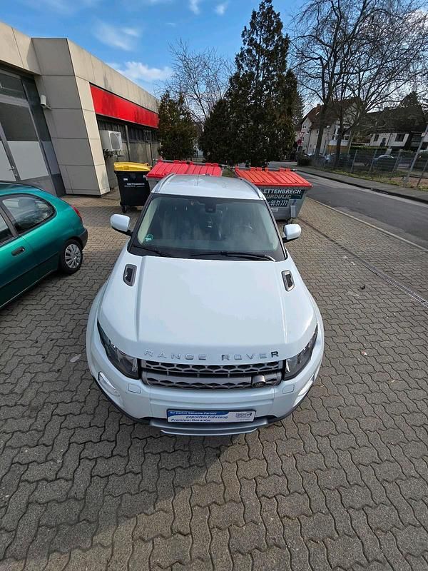 Gebraucht Land Rover Range Rover evoque 190 PS (139 kW) 2012 Weiß SUV