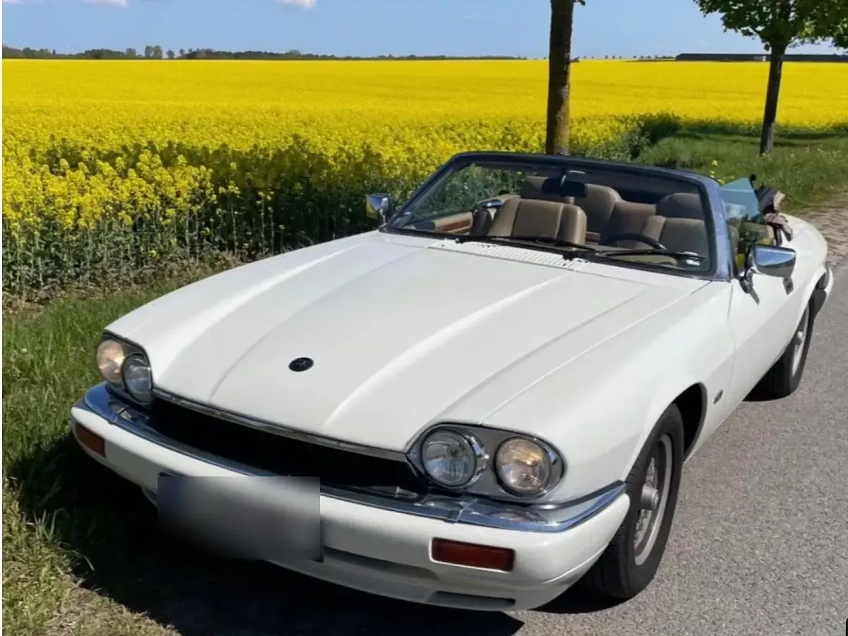 Gebraucht Jaguar XJS 222 PS (163 kW) 1994 Weiß Cabrio