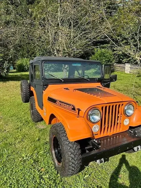 Gebraucht Jeep Wrangler 103 PS (75 kW) 1974 Orange SUV