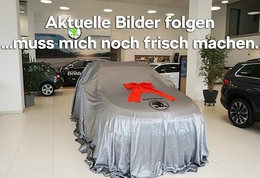 Neu Skoda Kamiq 150 PS (110 kW) 2026 Grau SUV