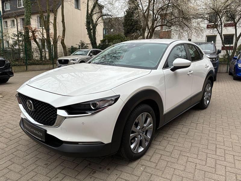 Gebraucht Mazda CX-30 Selection 122 PS (89 kW) 2023 Weiß SUV