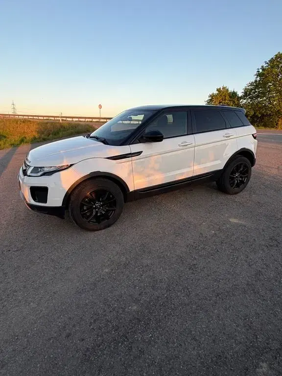Gebraucht Land Rover Range Rover evoque 150 PS (110 kW) 2019 Weiß SUV