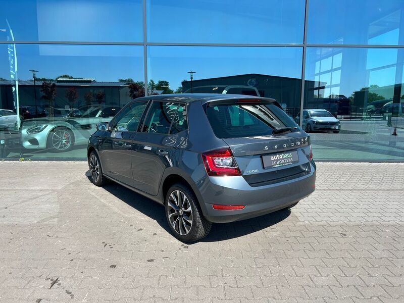 Gebraucht Skoda Fabia 110 PS (80 kW) 2020 Grau Kleinwagen