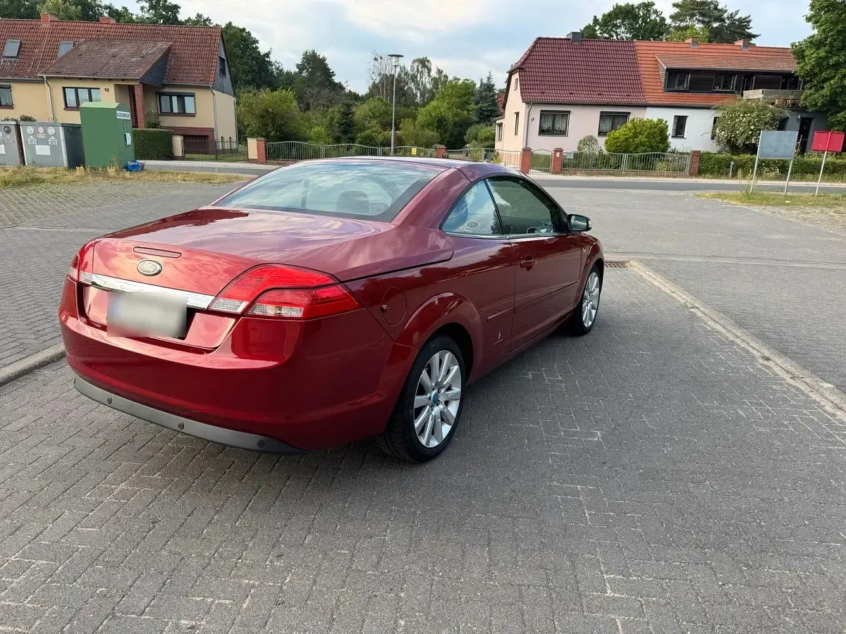 Gebraucht Ford Focus Cabriolet 145 PS (106 kW) 2007 Rot Cabrio