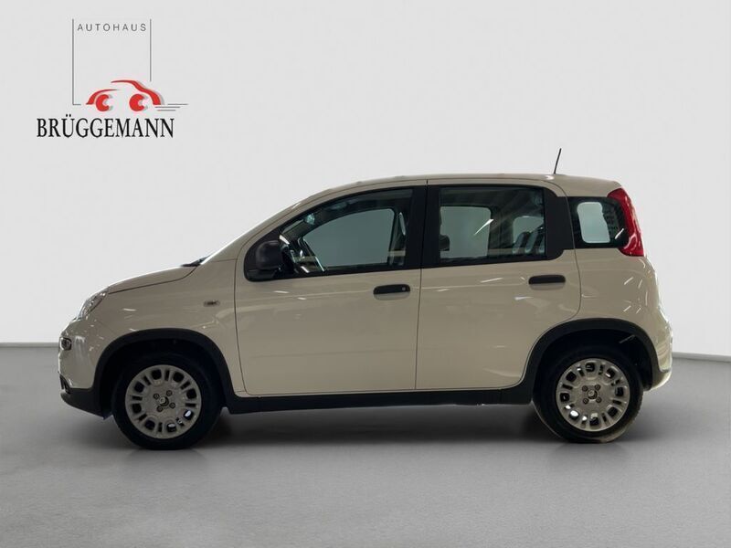 Gebraucht Fiat Panda 69 PS (50 kW) 2025 Weiß Kleinwagen