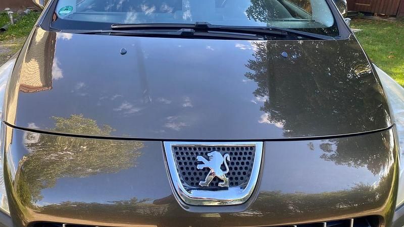 Braun Gebraucht 2009 Peugeot 3008 Platinum Limousine | 5.400 € (Fairer Preis) - Bild 1/4