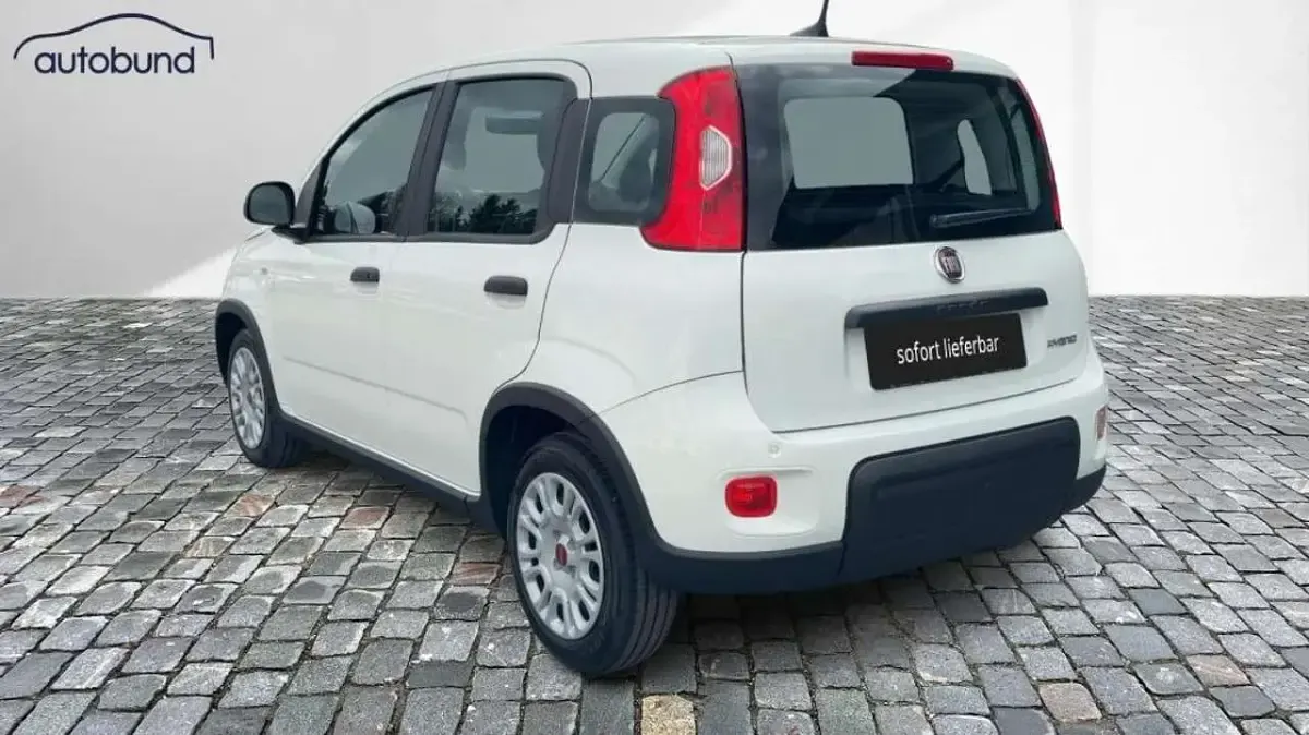Gebraucht Fiat Panda 71 PS (52 kW) 2024 Gelatoweiss Kleinwagen
