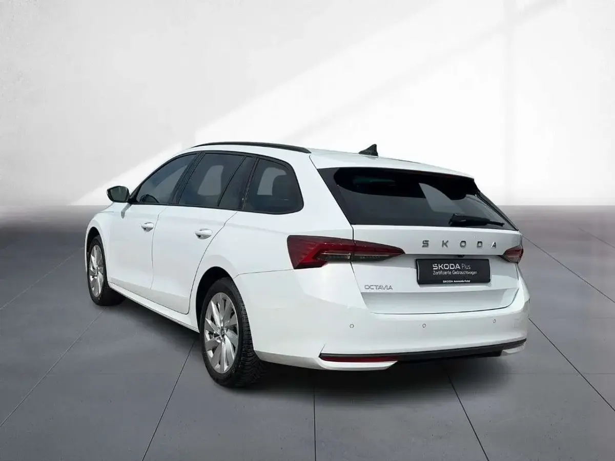 Gebraucht Skoda Octavia Selection 150 PS (110 kW) 2025 Moonweiß perleffekt Kombi