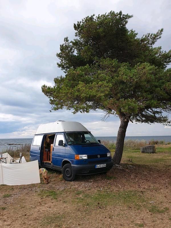 Blau Gebraucht 1996 VW 181 SUV | 9.900 € - Bild 1/4