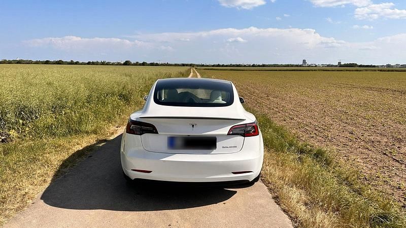 Gebraucht Tesla Model 3 Performance 377 kW (513 PS) 2021 Weiß Limousine