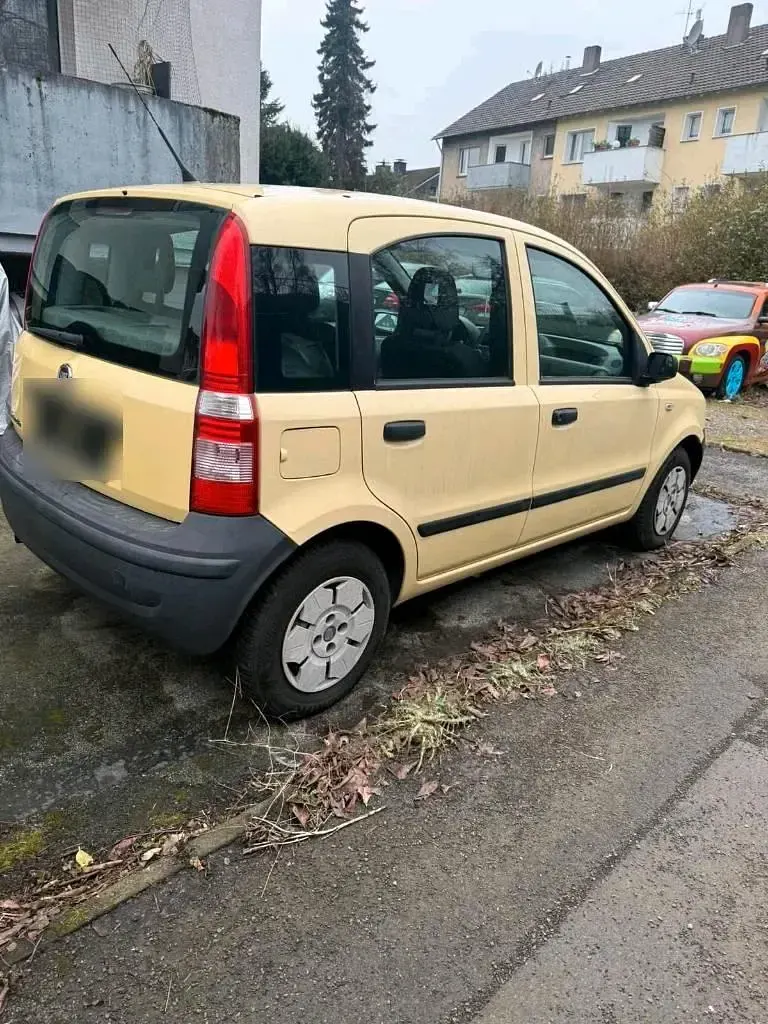 Occasion Fiat Panda 60 ch (44 kW) 2009 Jaune Citadine