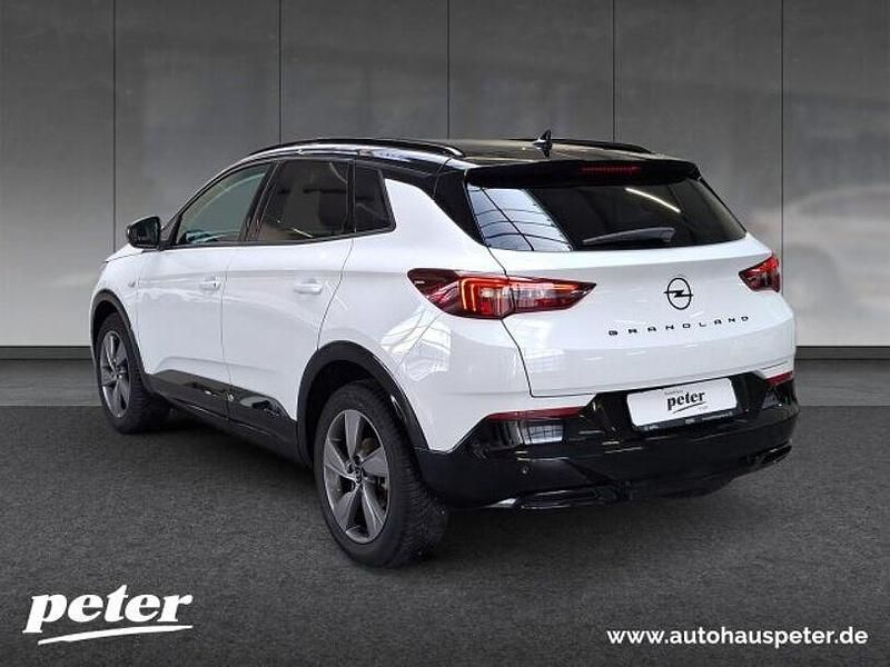Gebraucht Opel Grandland X 131 PS (96 kW) 2023 Jade weiß SUV