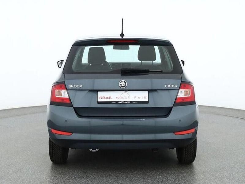 Gebraucht Skoda Fabia Ambition 75 PS (55 kW) 2019 Grau Kleinwagen
