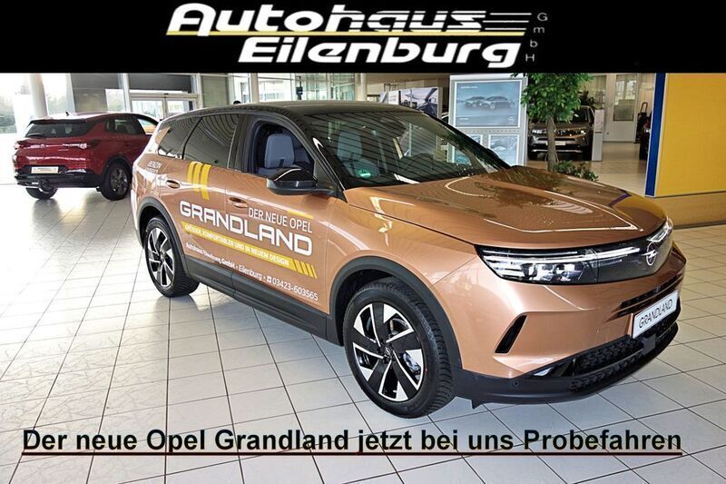 Beige Gebraucht 2025 Opel Grandland X SUV | 36.500 € (Fairer Preis) - Bild 1/4