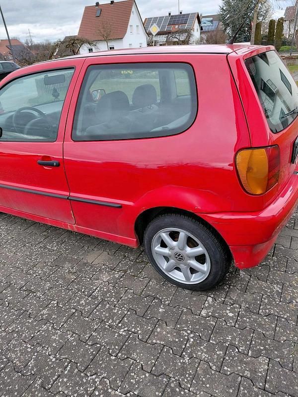 Usata VW Polo 65 CV (47 kW) 1996 Rosso Utilitaria