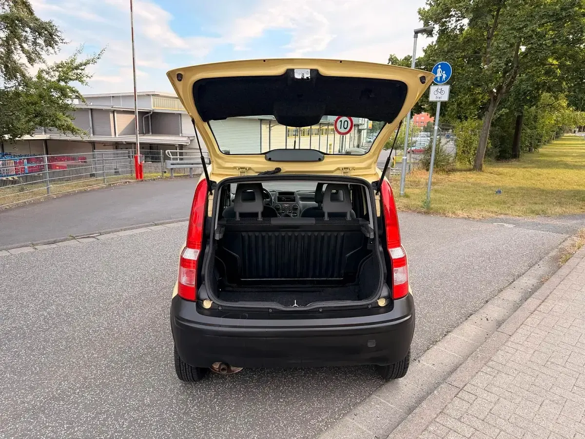 Gebraucht Fiat Panda Active 54 PS (39 kW) 2010 Gelb Kleinwagen