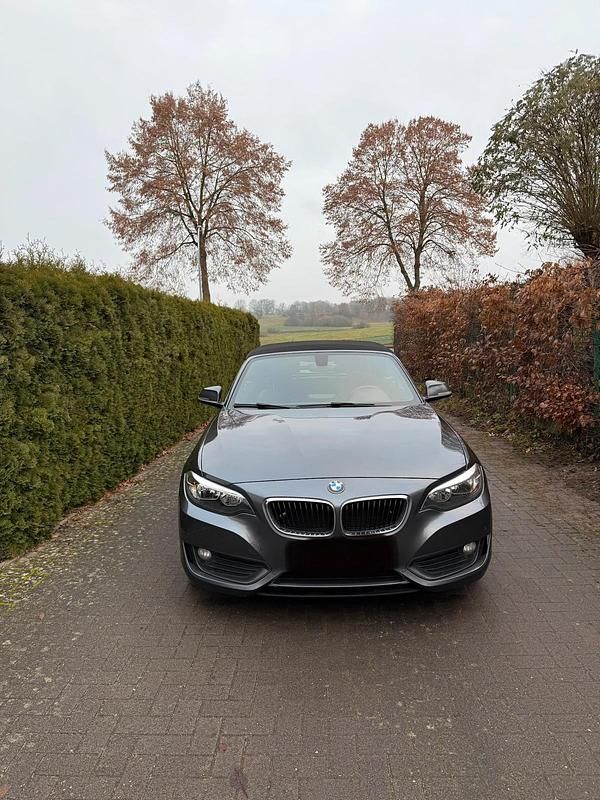 Gebraucht BMW 220 194 PS (142 kW) 2015 Grau Cabrio