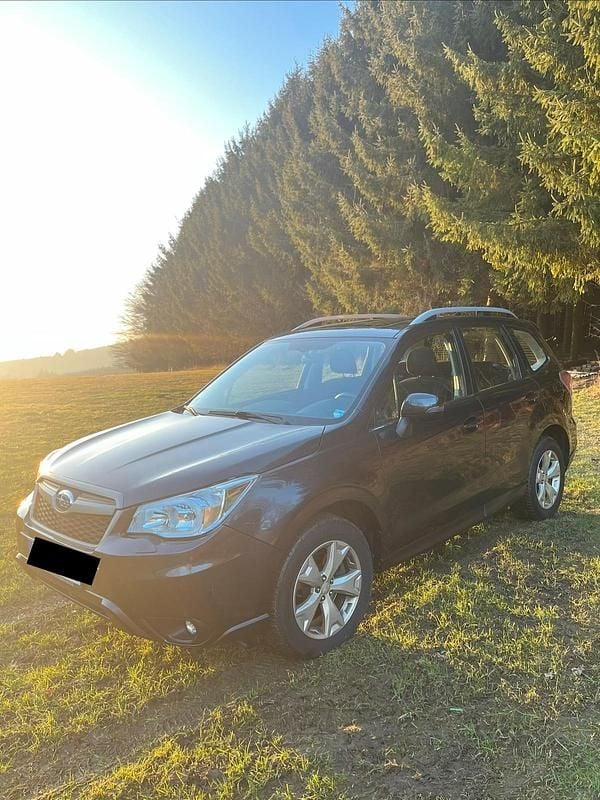 Gebraucht Subaru Forester 147 PS (108 kW) 2015 Grau SUV