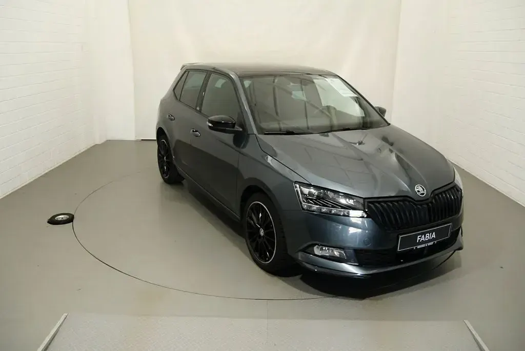 Gebraucht Skoda Fabia Monte Carlo 110 PS (80 kW) 2020 Grau Kleinwagen