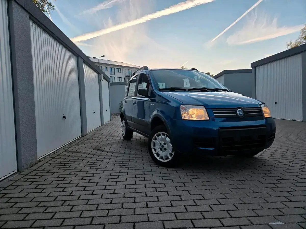 Gebraucht Fiat Panda 4x4 60 PS (44 kW) 2006 Blau Kleinwagen