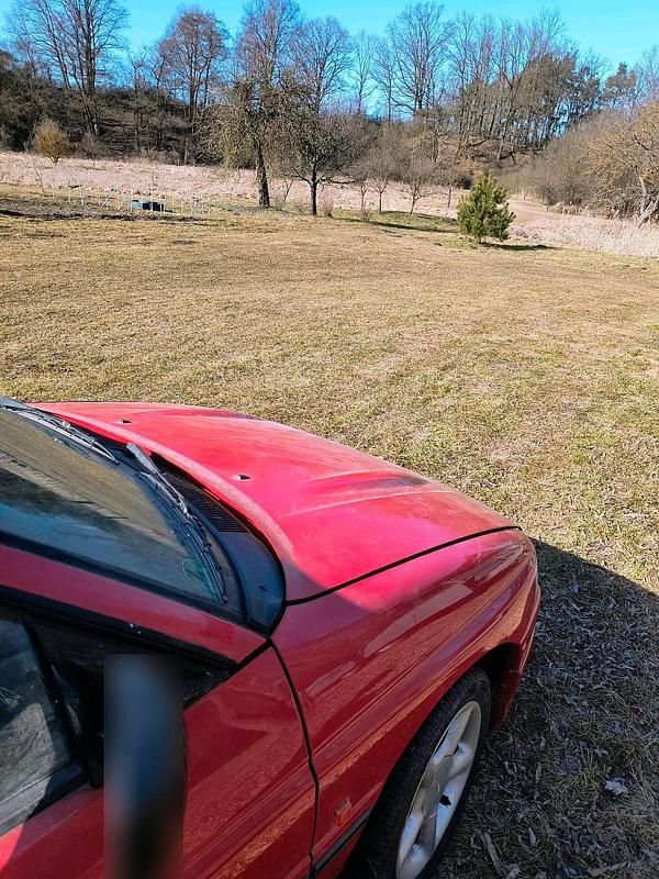 Gebraucht Ford Escort Cabriolet 105 PS (77 kW) 1991 Rot Cabrio