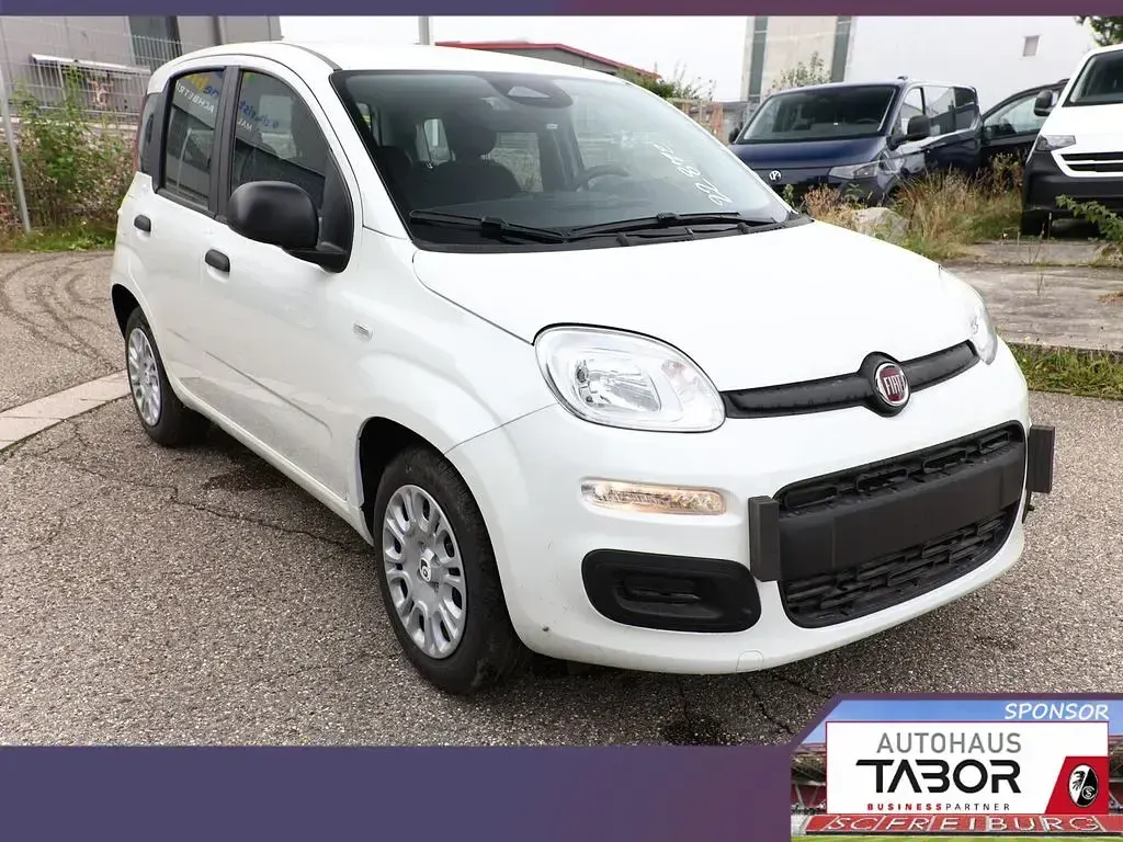 Neu Fiat Panda 69 PS (50 kW) 2025 Gelato weiß Kleinwagen