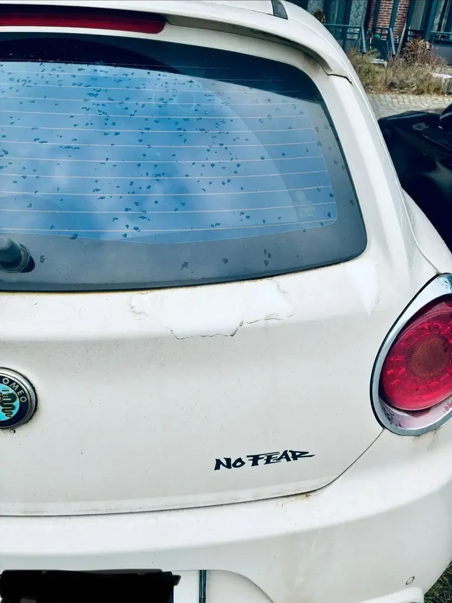 Second-hand Alfa Romeo MiTo 105 CP (77 kW) 2011 Alb Hatchback