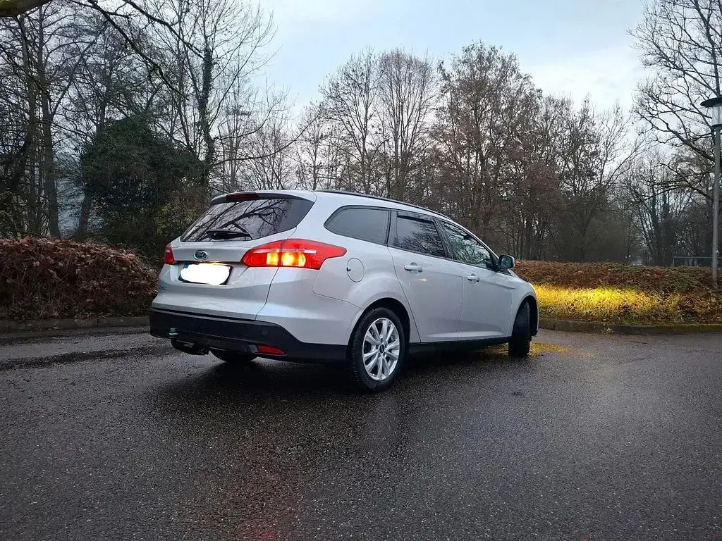 Usata Ford Focus 120 CV (88 kW) 2016 Argento Berlina